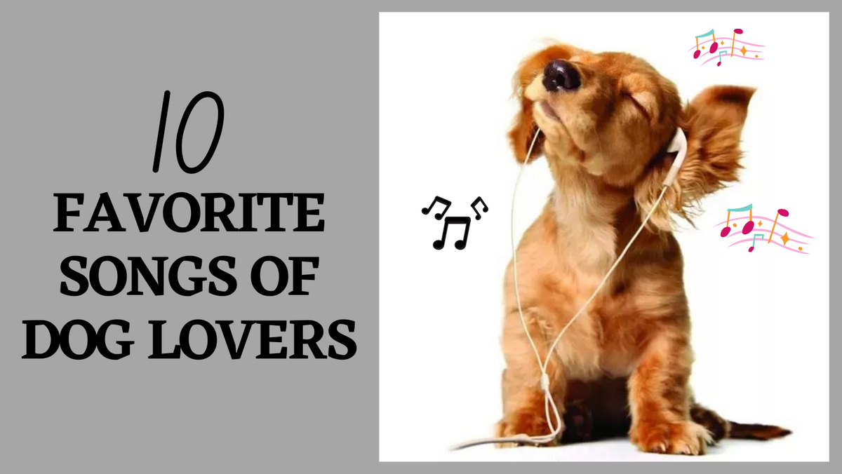 Dogs cheap favorite song