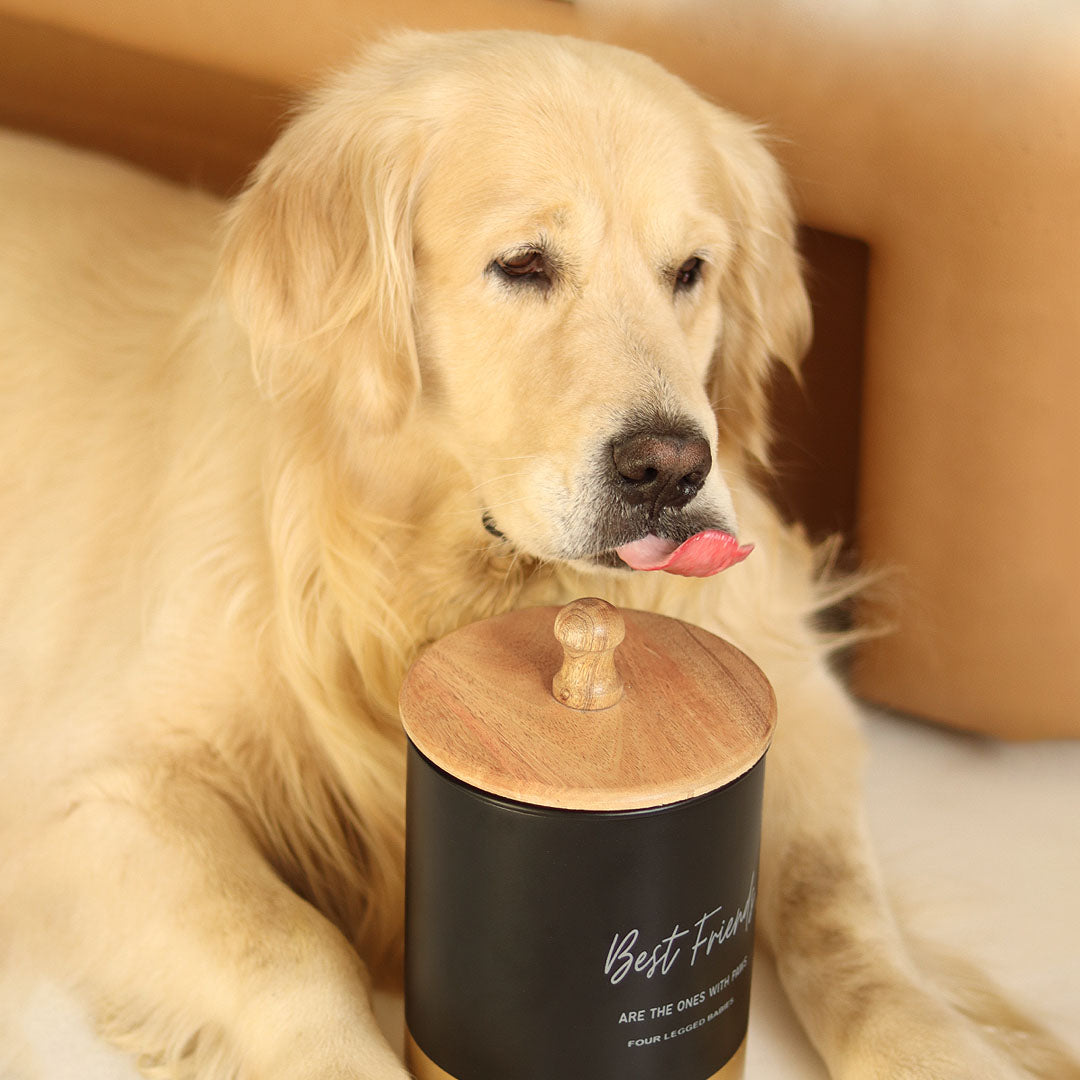 Food Treat Containers Best Friend FourLeggedBabies