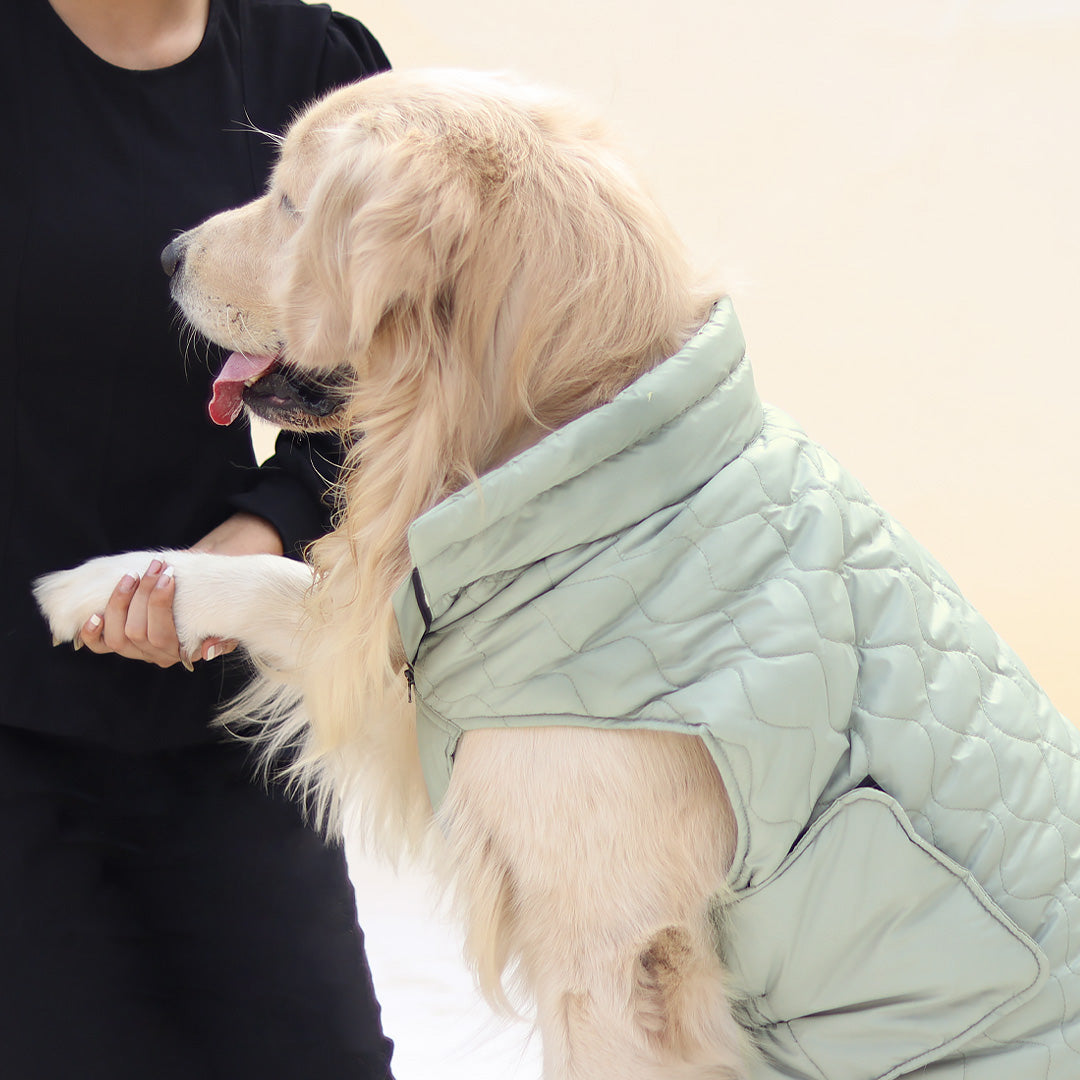  Touchdog 'Furrost-Bite' Quilted Fashion Dog Coat