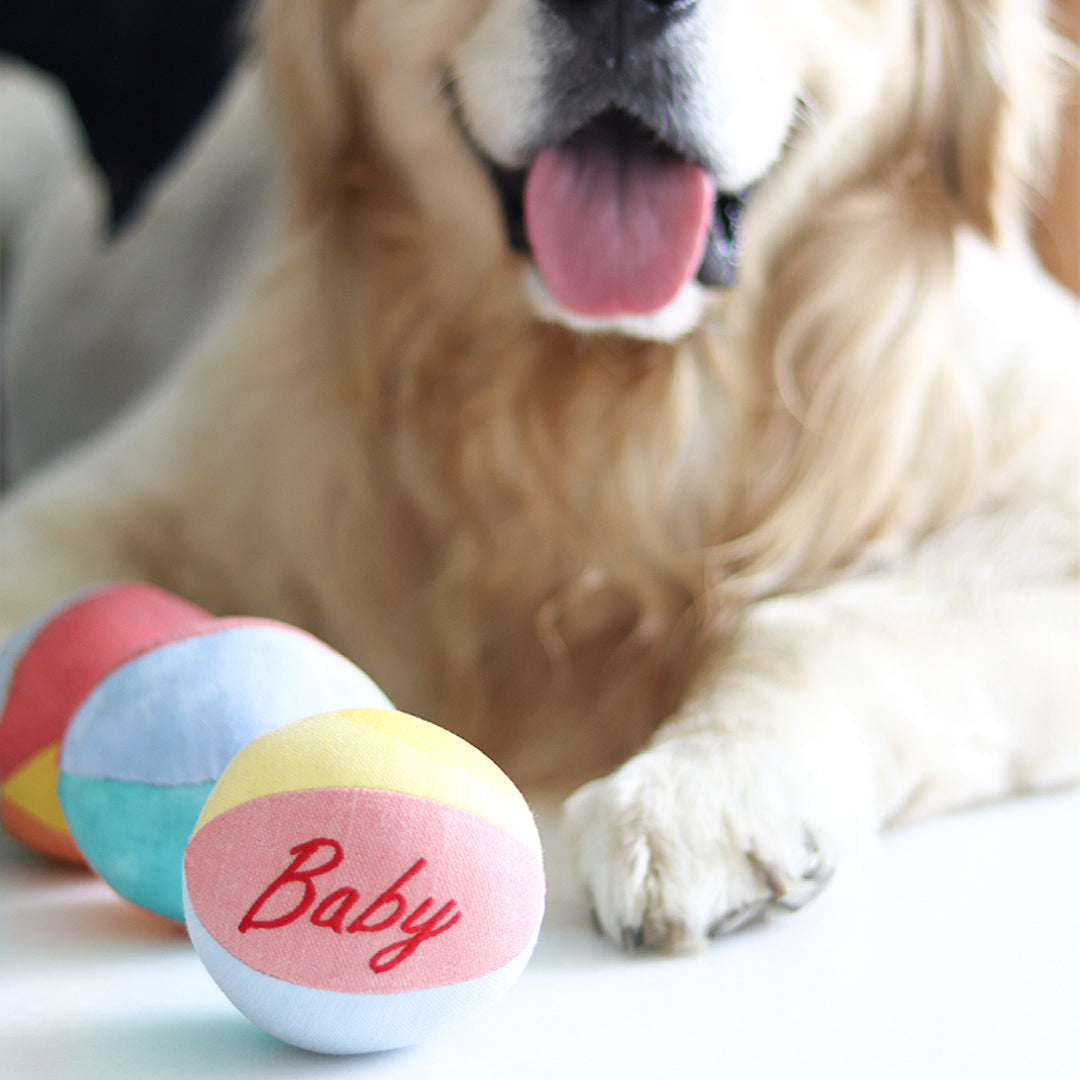 Luxury Dog Toys, Luxury Pet Toys