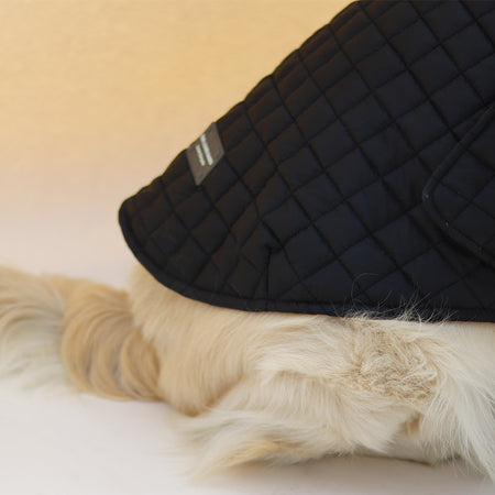 New Quilted Dog jacket black